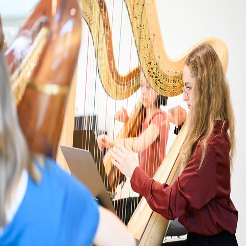 Eine junge Frau spielt an einer Harfe