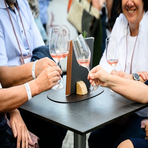 4 Personen stoßen mit einem Glas Wein an