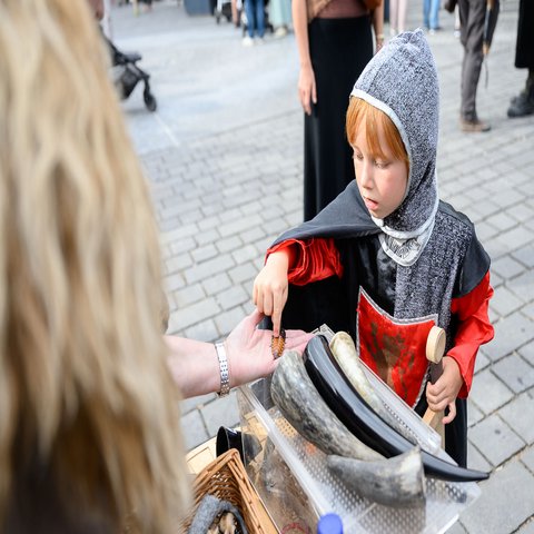 Ein Kind als Ritter verkleidet streichelt eine Kakerlake 