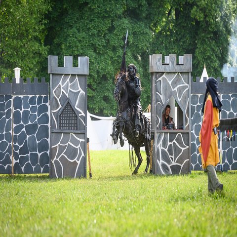 Ein Pferd springt durch eine aufgebaute Burg