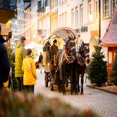 Eine Kutschenfahrt in einer schön beleuchteten Stadt