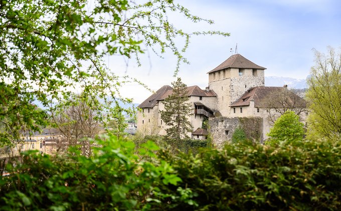 Eine Burg im Hintergrund vom Gebüsch