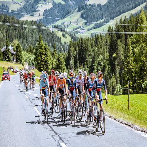 Eine Gruppe am Radfahren fährt durch die Berge