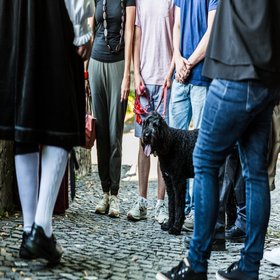 Ein Hund in einer Menge von Menschen