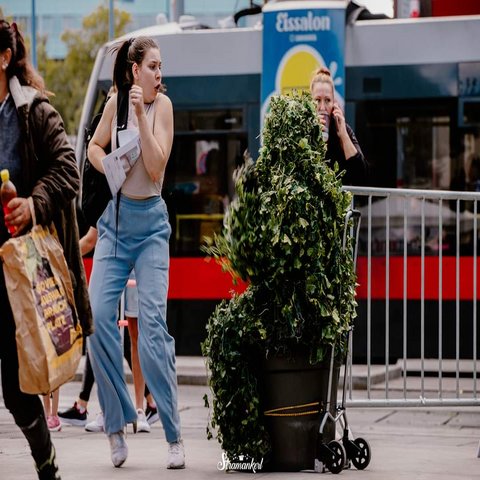 Ein verkleideter Busch erschreckt eine Frau